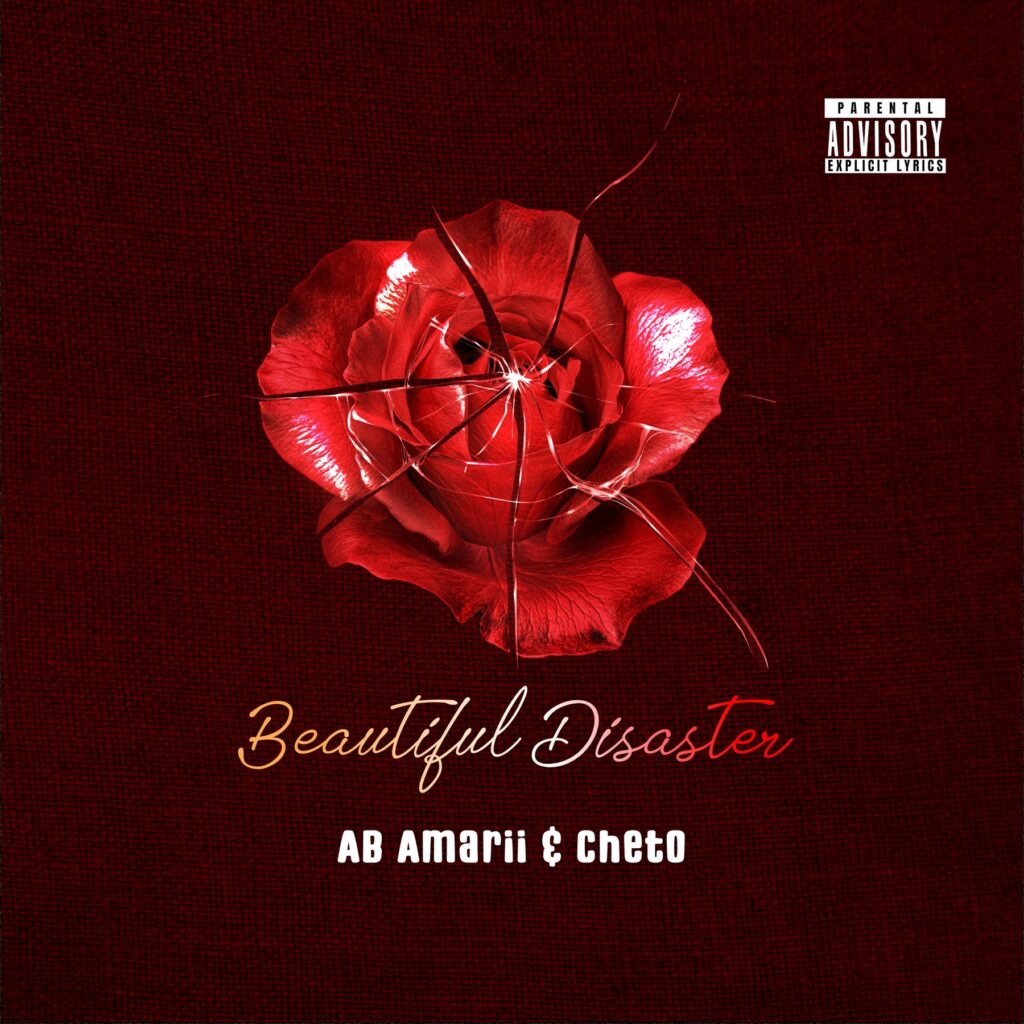 Cover art designed by Fewa: a red rose for Beautiful Disaster by AB Amarii and Cheto